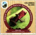 Andean Poison Frog (Andinobates opisthomelas)