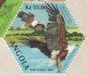 African Fish Eagle - National Bird of Zambia