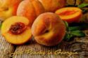 Georgia. Peaches