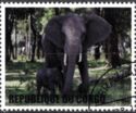 Elephants