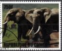 Elephants