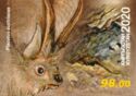 Grey Long-Eared Bat (Plecotus austriacus)