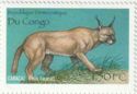 Caracal (Felis caracal)