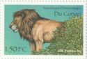 (Panthera leo)
