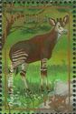 Okapi (Okapia johnstoni)
