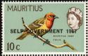 Mauritius Fody (Foudia rubra)