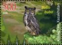 Eurasian Eagle-Owl (Bubo bubo)