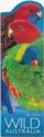 Wild Australia - Parrots