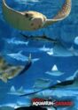 Toronto, Ripley's Aquarium
