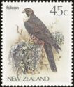 New Zealand Falcon (Falco novaeseelandiae)