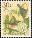 Silvereye (Zosterops lateralis)