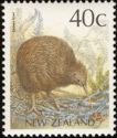 Brown Kiwi (Apteryx australis)