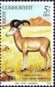 Mouflon (Ovis ammon orientalis)