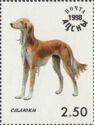 Saluki