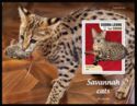 Savannah Cat