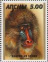 Mandrill (Mandrillus sphinx)