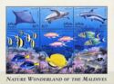 Marine Environment Wildlife