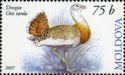 Great Bustard (Otis tarda)