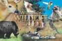 Wisconsin. Wildlife