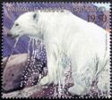 Polar Bear (Ursus maritimus)