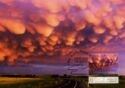 Mammatus clouds