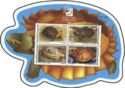World Stamp Championship 2004 on Tortoises souvenir sheet