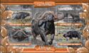Buffaloes of Africa