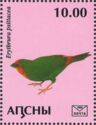 Red-throated parrotfinch(Erythrura psittacea)
