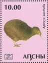 Southern brown kiwi (Apteryx australis)
