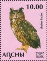Eurasian eagle-owl (Bubo bubo)