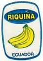 Riquina