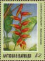 Lobster Claw Plant (Heliconia rostrata)