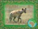 Spotted Hyaena (Crocuta crocuta)