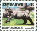 Baby Rhinoceros
