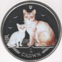 1 Crown (Burmilla Cat)