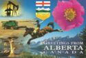 Alberta Province