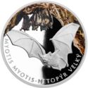 1 Dollar (Myotis Myotis)