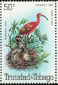 Scarlet Ibis (Eudocimus ruber) Chick in Nest