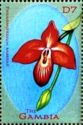 Phragmipedium besseae