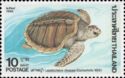 Olive Ridley Sea Turtle (Lepidochelys olivacea)