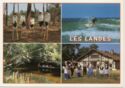 Landes landscapes