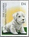 West Highland Terrier