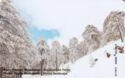 Winter at Troodos - Landscape (Notch)