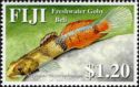 Beli - Freshwater Goby (Sicyopus zosterophorum)