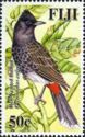 Red-vented Bulbul (Pycnonotus cafer)
