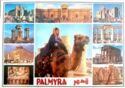 SYRIA - Scenes from Palmyra