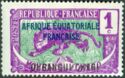 Leopard (Panthera pardus) overprint