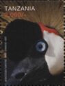 Grey Crowned Crane (Balearica regulorum)