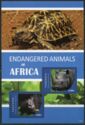 Endangered Animals of Africa