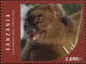 Greater Bamboo Lemur (Prolemur simus)